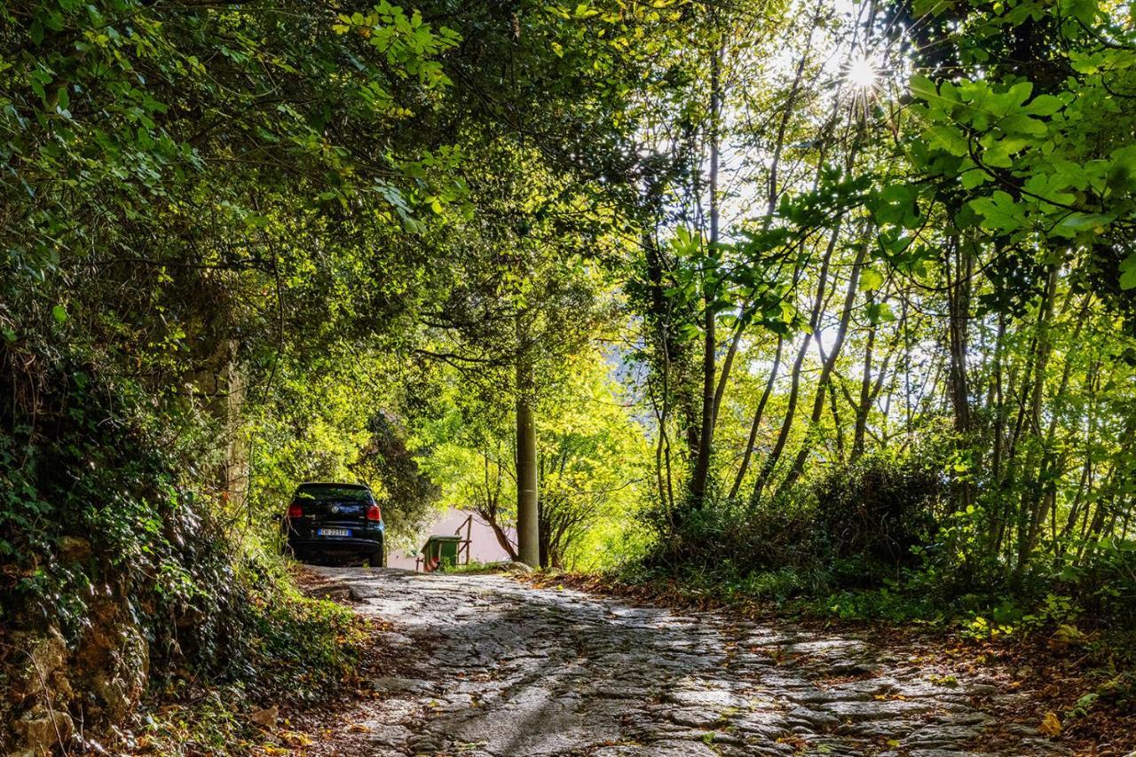 Ca Frighilin Διαμέρισμα Finale Ligure Εξωτερικό φωτογραφία